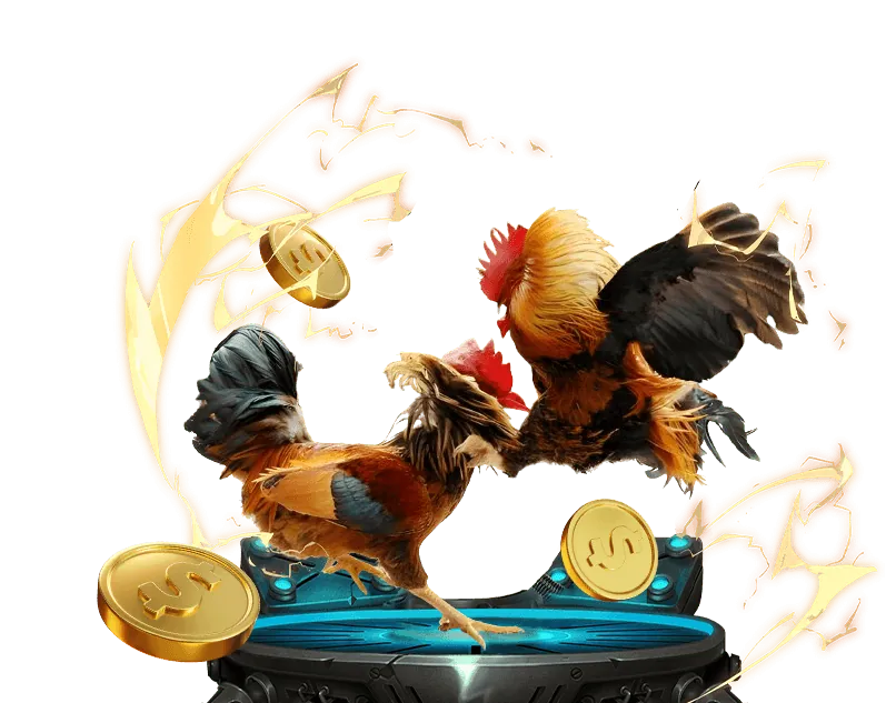 Giao diện đặt cược đá gà tại zz88